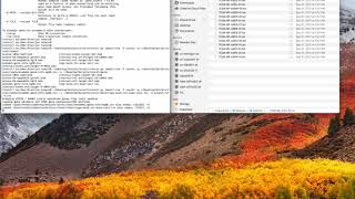 ImportRNA tutorial