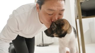 保護犬メイちゃんと暮らし始めました image