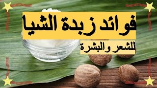 فوائد زبدة الشيا للشعر