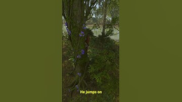 How to survive crocodile attack in Rust jungle #rust #rustupdate #jungle #rustshorts #rustclips