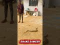 🙏😭🥲🐍🙏🕉️☪️✝️❤️🫶 Russell viper snake lover