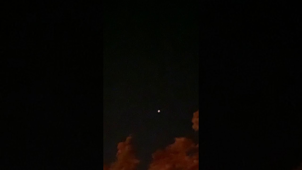 Frontier Airlines FFT534 Kit the Kermode Bear Livery on 10/19/20