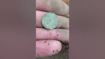 Coin Haul @ Abandoned Picnic Grove! Metal Detecting Treasure Hunting w. Nokta Legend Relics & Coins