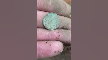 Coin Haul @ Abandoned Picnic Grove! Metal Detecting Treasure Hunting w. Nokta Legend Relics & Coins
