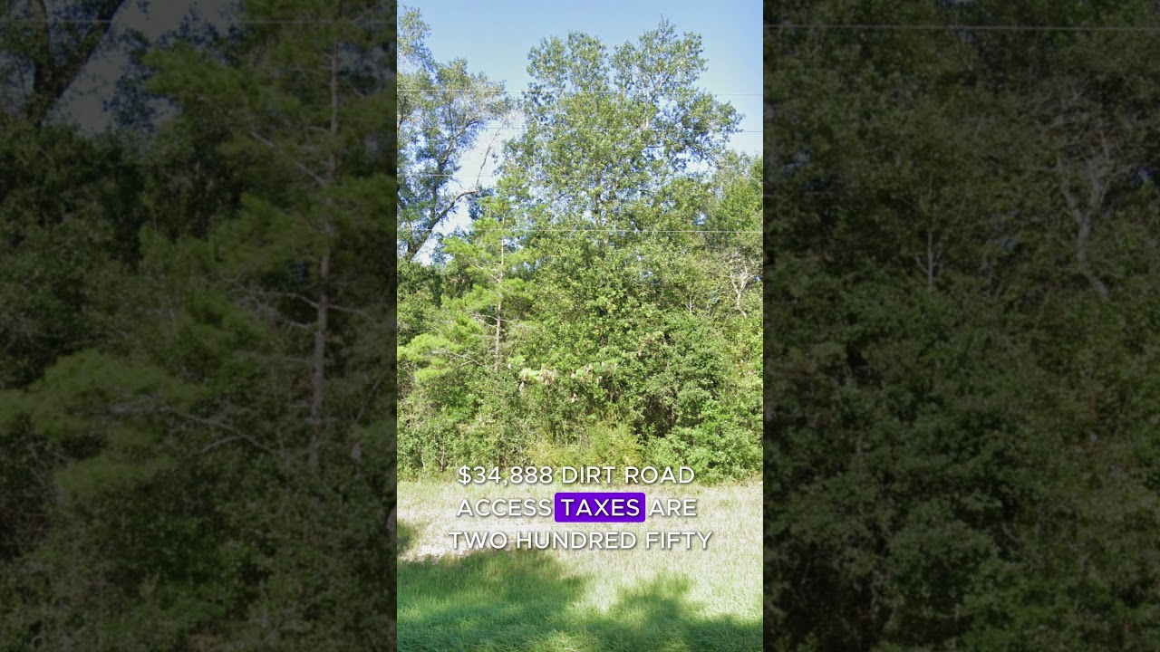1.21 Acres for Sale in Ocala Florida for $34888.