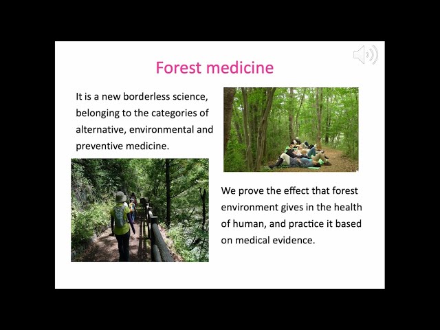 Ayurveda and Forest Medicine with Dr. Pushpa - YouTube