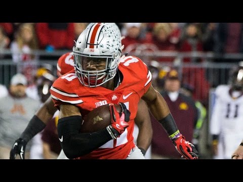 Vonn Bell Highlights || "Best Safety in the B1G" || Ohio State