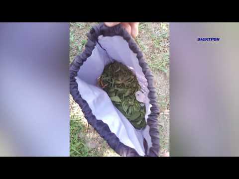 За хранение марихуаны крымчанина приговорили к колонии строгого режима.