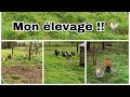 JE MONTRE TOUT MON ÉLEVAGE - Poules, Canard, Oie...