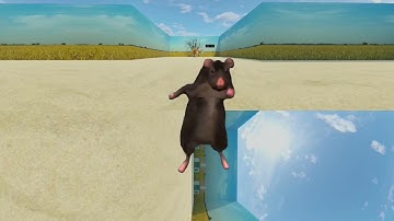 360° VR SQUID GAME, When the Dancing Rat enters Squid Game 🐭