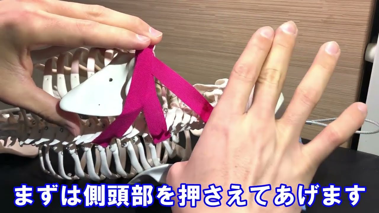 僧帽筋の伸ばし方