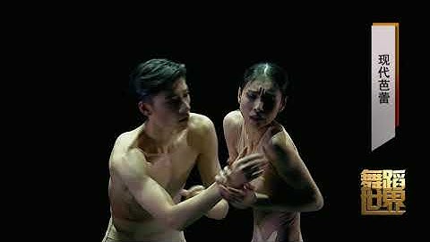辽宁芭蕾舞团首席演员、国家一级演员 王韵、焦洋 现代芭蕾《念》 - 天天要闻