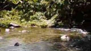 Petit-Bourg Guadeloupe