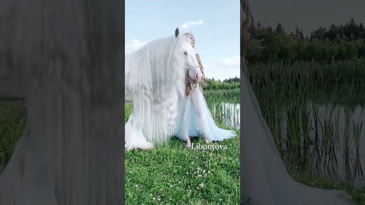 Real Princess 👑with Unicorn 🦄 