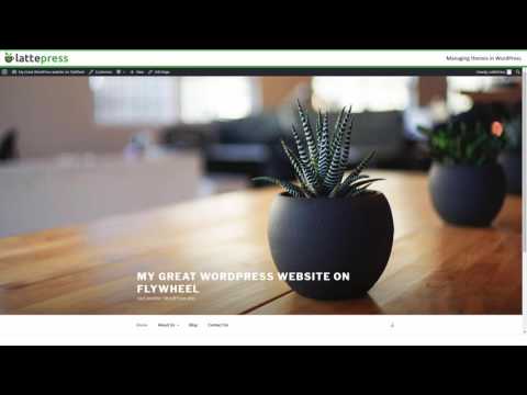 [Outdated] [v4.94] WordPress Tutorial - Managing Themes with WordPress