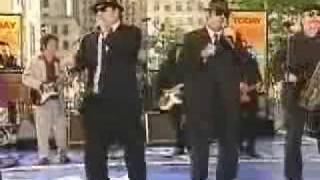 Blues Brothers - Flip Flop and Fly chords