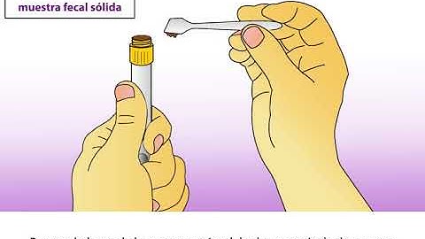 OMNIgene.GUT collection instructions (OM-200 and OMR-200) in Spanish