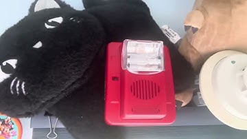 System Test 3 Ft Gentex Commander 3