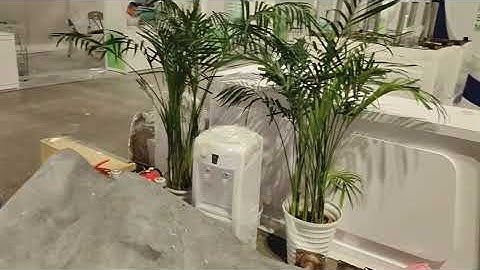 China Military Science and Technology Industry Expo Stand Builder YOHO EXPO Xi