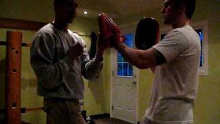 Wing Chun: Focus Pads Training - Taan Da Exercise screenshot 1