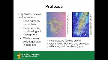 Understanding and Managing Soil Biology for Soil Health and Crop Production
