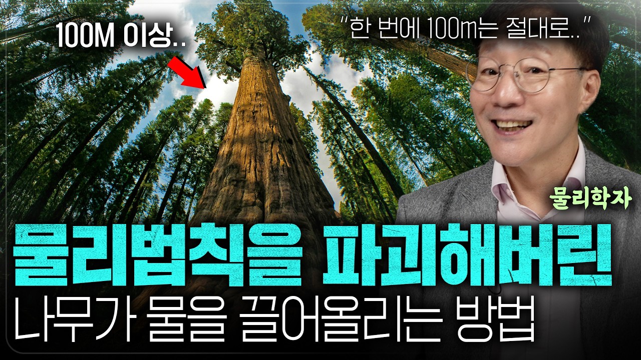물리법칙을 파괴해버린 나무가 물을 끌어올리는 방법ㅣ범준에 물리다 - YouTube