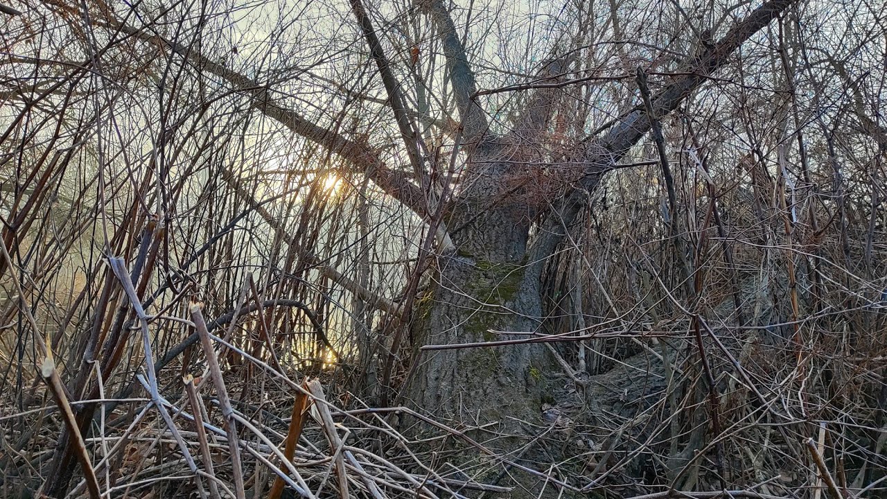 Dzień Kobiet w terenie♥️♥️♥️