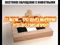 21 МЕМ ПО ШАХМАТАМ! (ты сам то когда-нибудь видел такие мемы?)