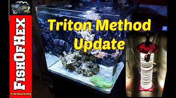 Triton Method Four Month Update | Full System Review