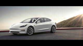 2019 Fisker EMotion Tesla Model S