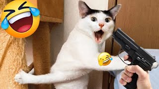 When God sends you a funny cat and dog 🤣 Funniest cat and dog ever 😹 🐶