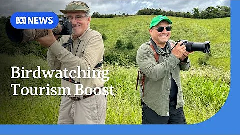 How birdwatching is taking flight as Australia's new tourism goldmine | ABC NEWS thumbnail