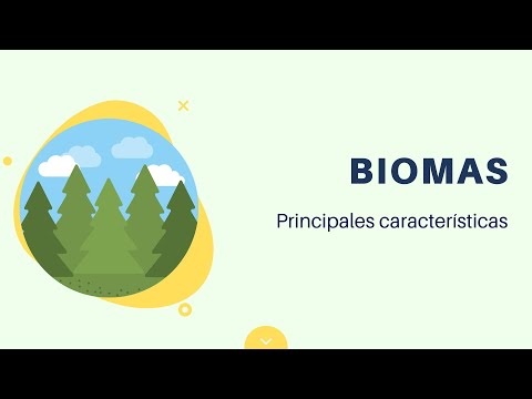 Video: ¿A quién se refiere bioma?