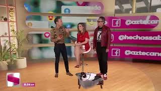 Celebrity Carolina Rocha Wealth