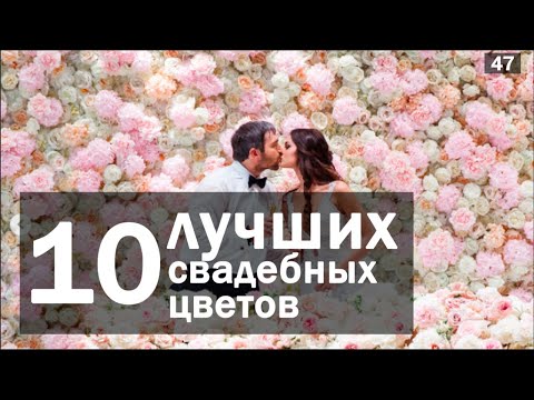 Видео: Свадебные цветы к сезонам, 20 видов для выбора
