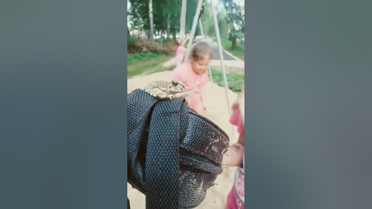 лягуха - YouTube