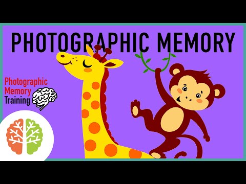 Toddler Puzzles And Memory Games (Animals) - Right Brain Education Training Exercises For Kids