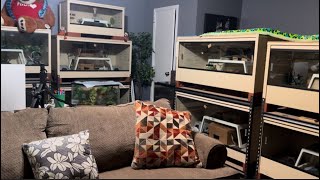 Snake Room Tour 2025 | Meet my pet snakes