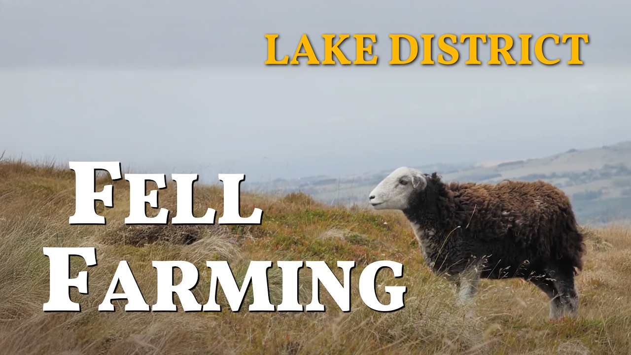 Traditional Farming in the Lake District with James Irving - White Water Dash Farm