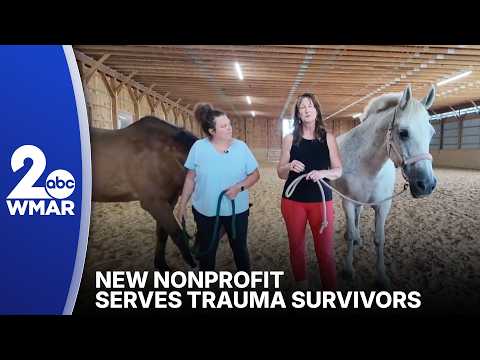 Healing, hope and horses: New nonprofit serves trauma survivors in Harford County