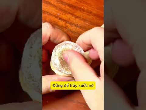 Ngọc Cá Trắm