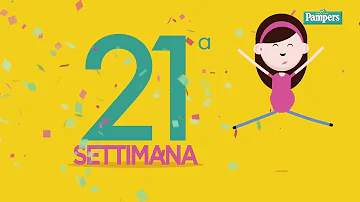 Quanto dorme un feto di 21 settimane?