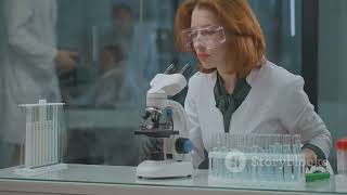 Famous Unraveling the Complex Relationship Korean Ginseng and AIDS Wealth