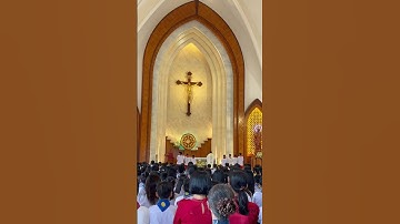 RƯỚC LỄ LẦN ĐẦU - GX NGŨ PHÚC #giaoxunguphuc #gpxuanloc