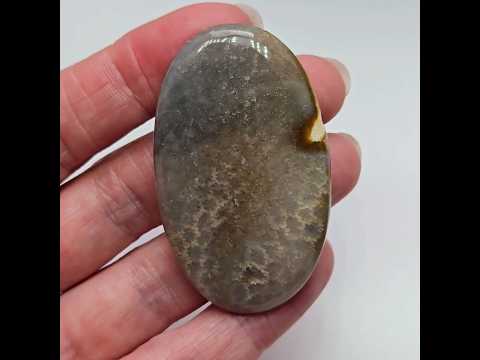 Окаменелый коралл - кабошон 52,5 ct, видео 1