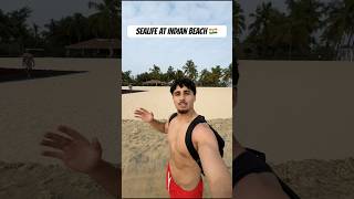 why does he always want money tho? 😀 #india #goa #indianbeaches #mrkrabs #firsttimeindia