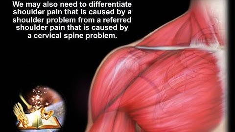 Shoulder Pain - Everything You Need To Know - Dr. Nabil Ebraheim