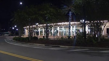 Security expert explains video game shooting