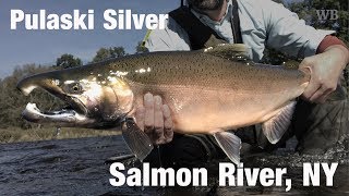 Fly Fishing Pulaski Silver, Salmon River, NY  Wooly Bugged