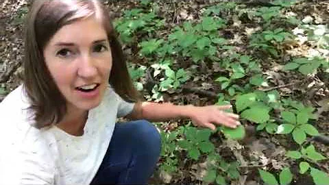 S2E5: Is POISON OAK a MYTH or FACT?